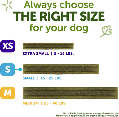 WHIMZEES Freshzees X-Small Dental Dog Treats, 14.81-oz bag, 56 count