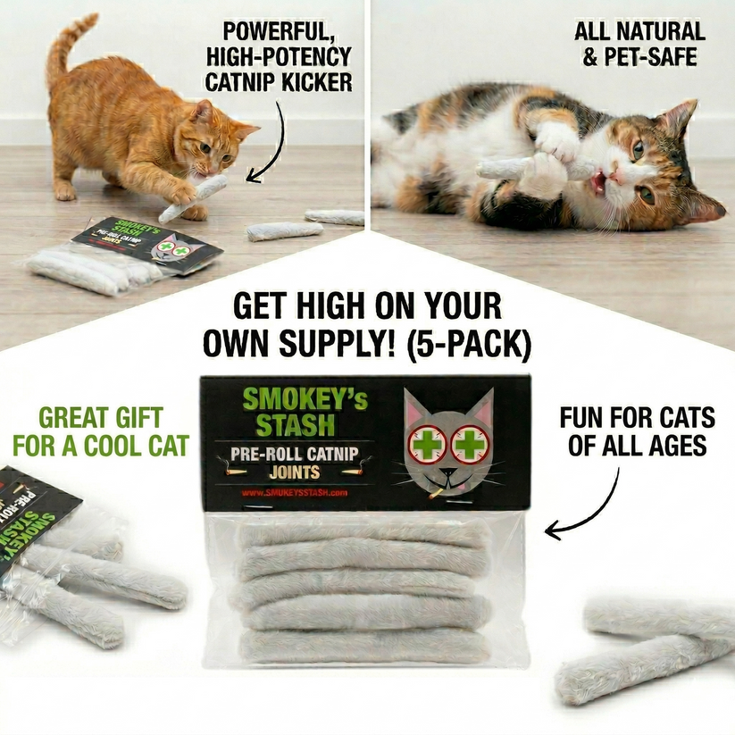 Pre Roll Catnip joints - 5 pack