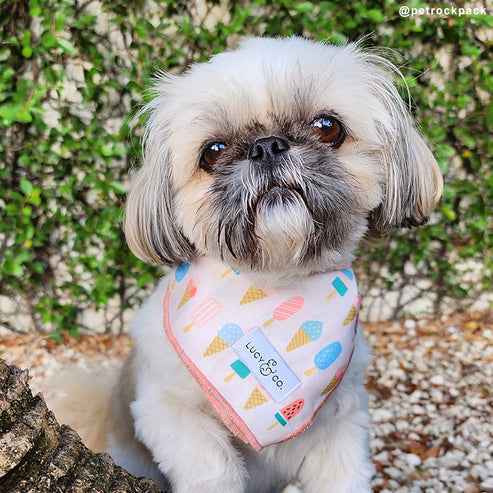 A Lotto Gelato Bandana