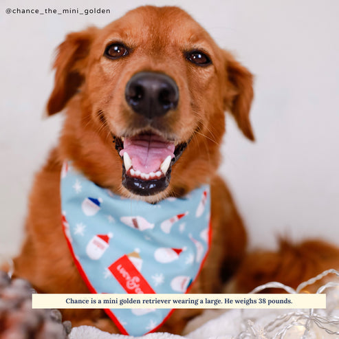 The Merry & Bright Bandana