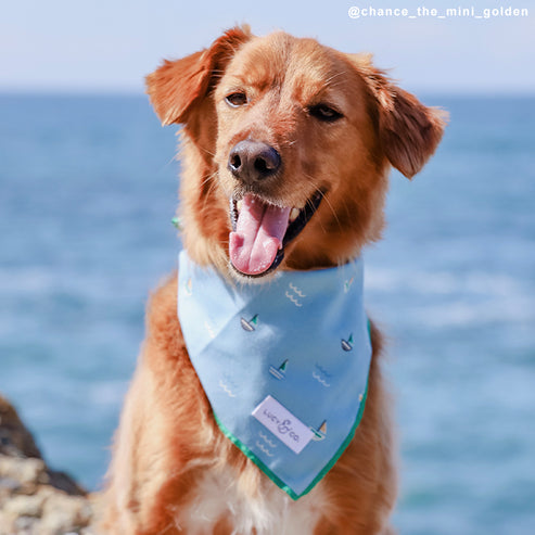 Set Sail Bandana