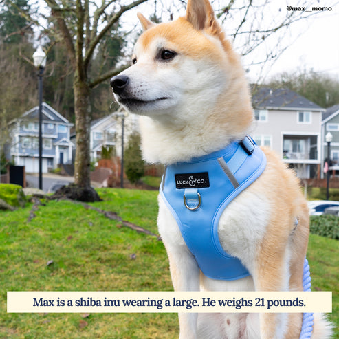 No-Pull Harness - Denim Blue