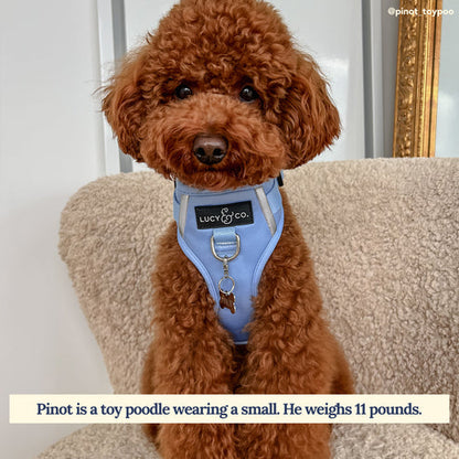 No-Pull Harness - Denim Blue