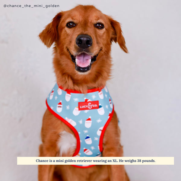 The Merry & Bright Reversible Harness