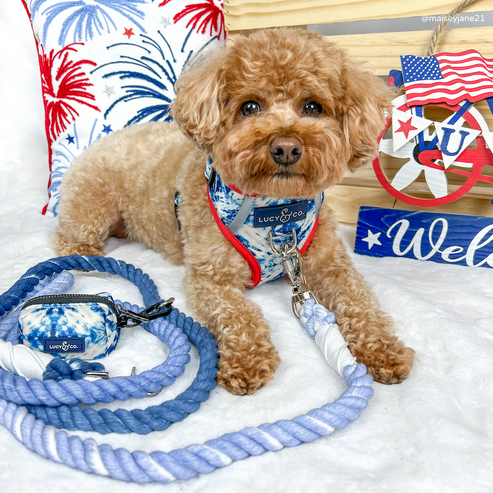 Hands-Free Rope Leash - Blueberry Twist