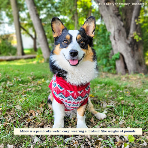 The Holiday Cheer Sweater