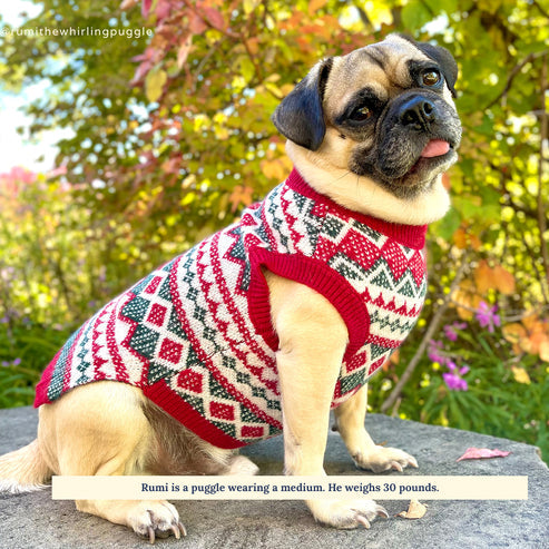The Holiday Cheer Sweater