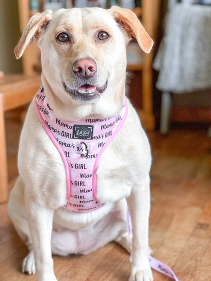 Mama's Girl Dog Harness