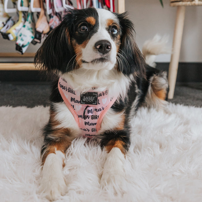 Mama's Girl Dog Harness