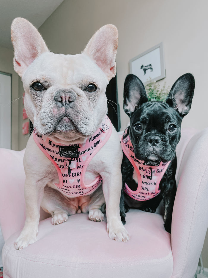 Mama's Girl Dog Harness