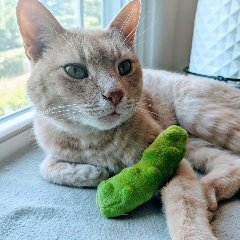 Pickle Cat Toy