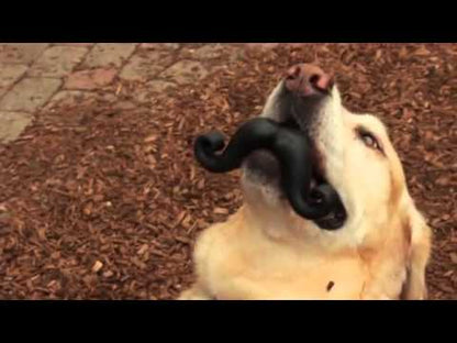 Humunga Chomp