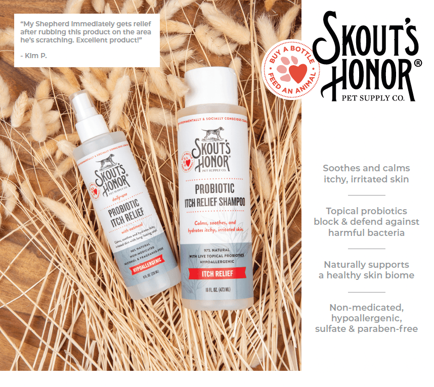 Skout's Honor Probiotic Itch Relief Shampoo (16oz)