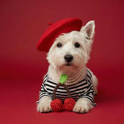 Handcrafted Cherry Pet Rope Toys