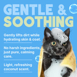 TropiClean Hypoallergenic Cat Kitten Shampoo, 12oz