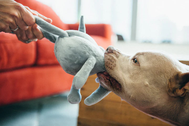 Big Five of Africa - Elephant Dog Toy