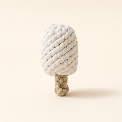 Handmade Popsicle Toy