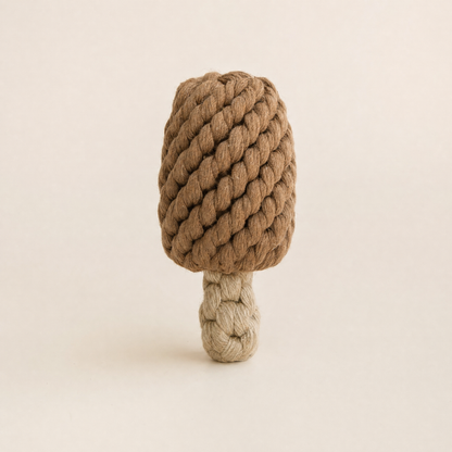 Handmade Popsicle Toy