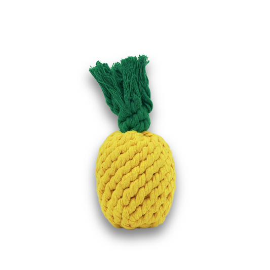 Handmade Pineapple Rope Toy, Small