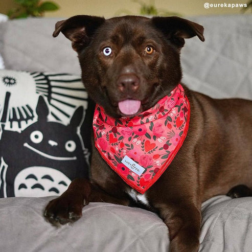 Posy Pink Bandana