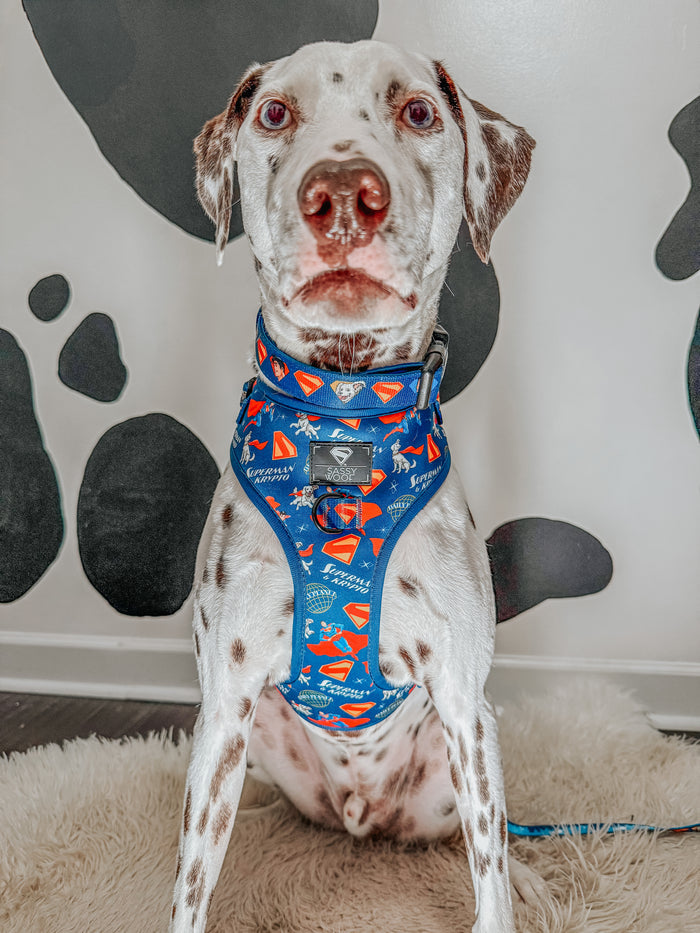 Dog Adjustable Harness - Superman™ & Krypto™