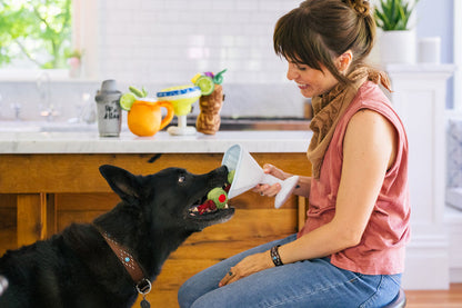 Barktender Pawtini Dog Toy