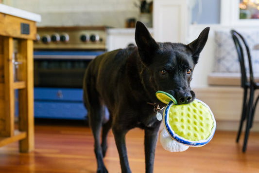 Barktender Pup-arita Dog Toy