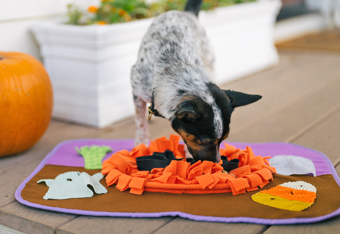 Halloween Snuffle Mat