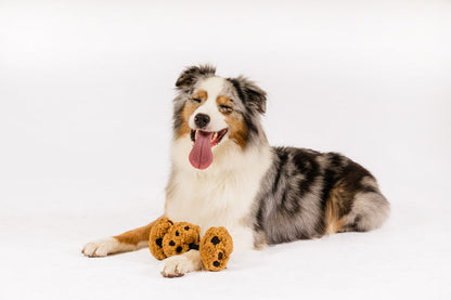 Pup Cup Cafe - Cookies n' Treats