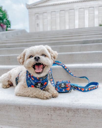 Dog Leash - Superman™ & Krypto™
