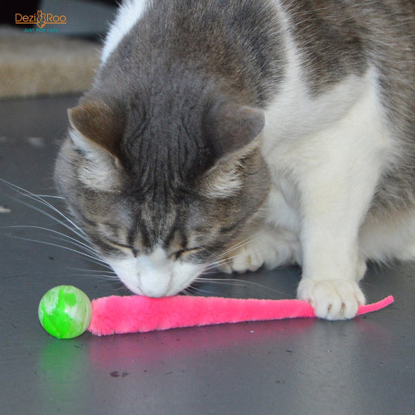 Wiggly Ball - Solid Marbled Cat Toy Bouncy Ball