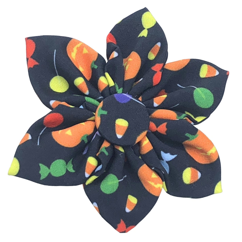 Trick or Treat Pinwheel