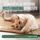 TropiClean Natural Flea + Tick Gentle Cat Shampoo