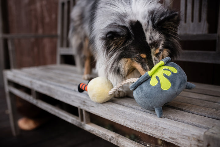 Howling Haunts Collection - Pup's Potion