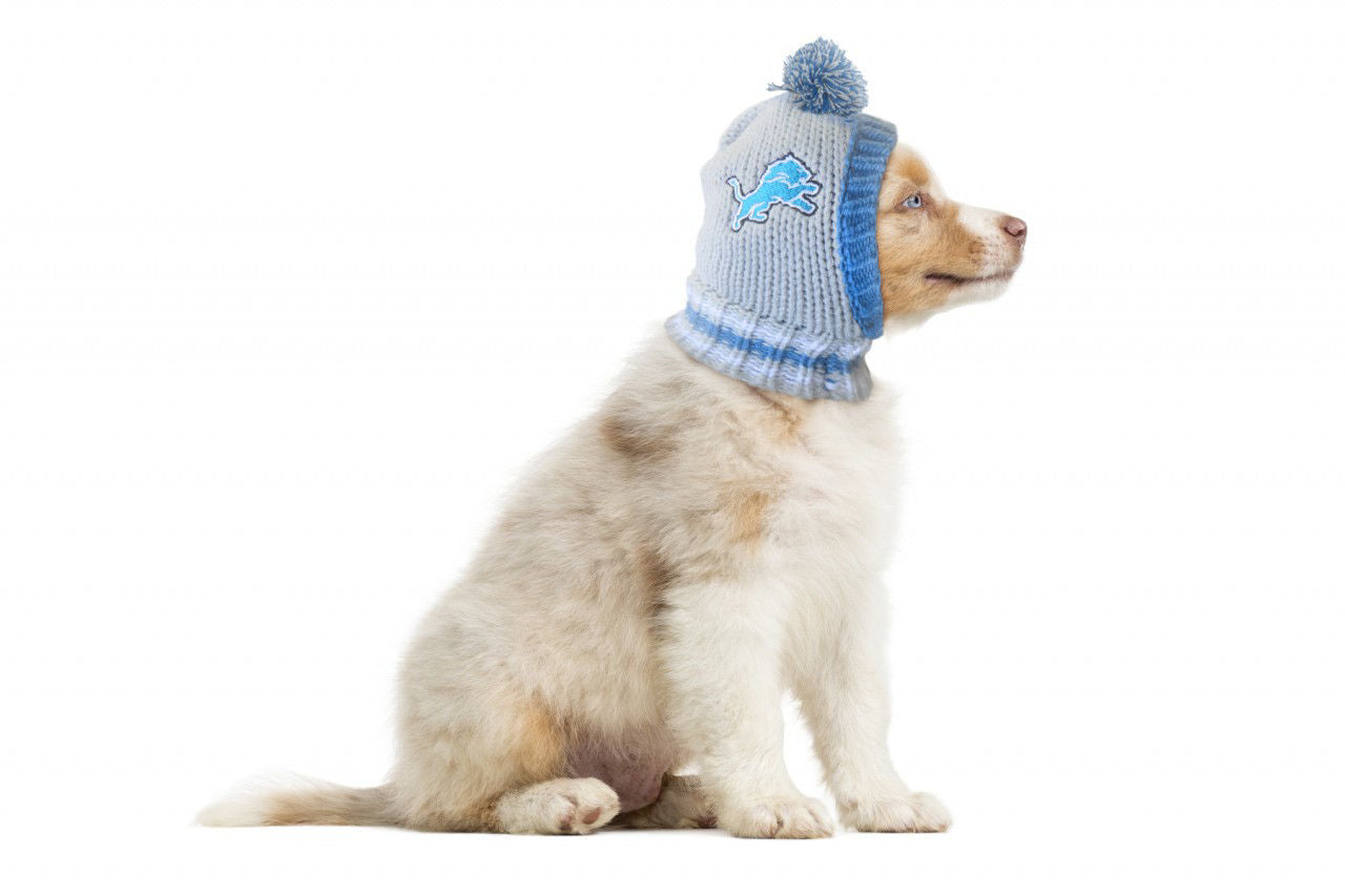 NFL Knit Pet Hat - Detroit Lions