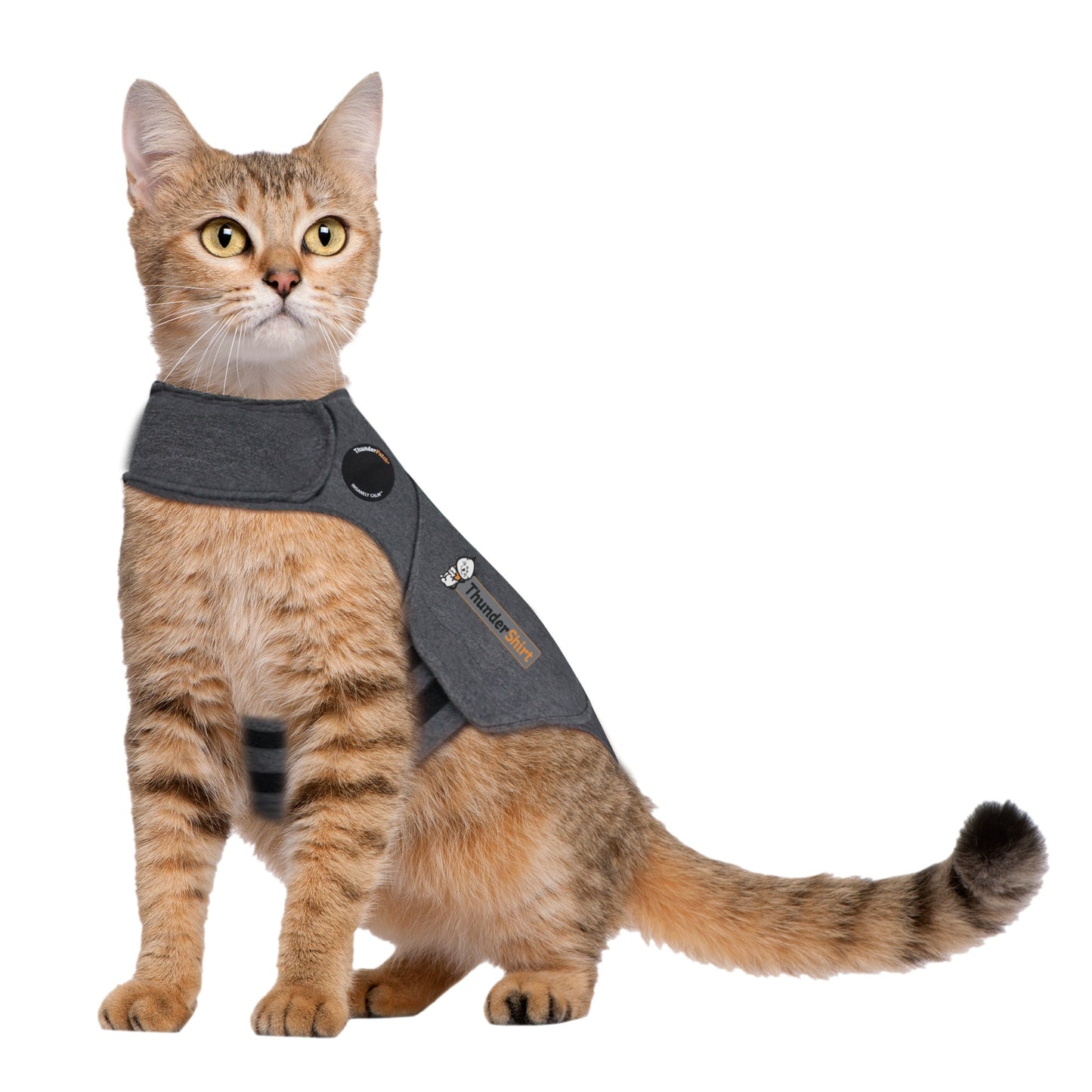 ThunderShirt Classic Anxiety Jacket for Cat Gray