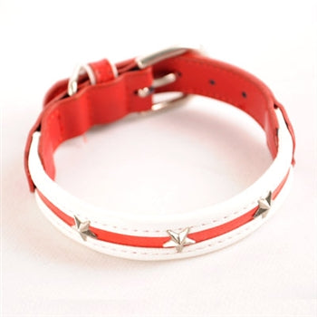 Star Collar Red Collar