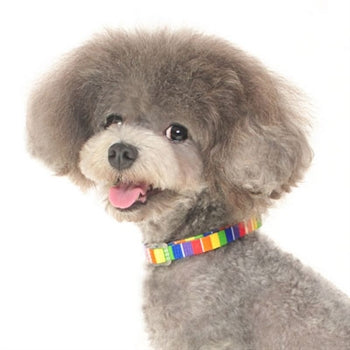 Contempo Rainbow Collar