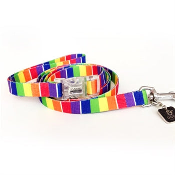 Contempo Rainbow Collar