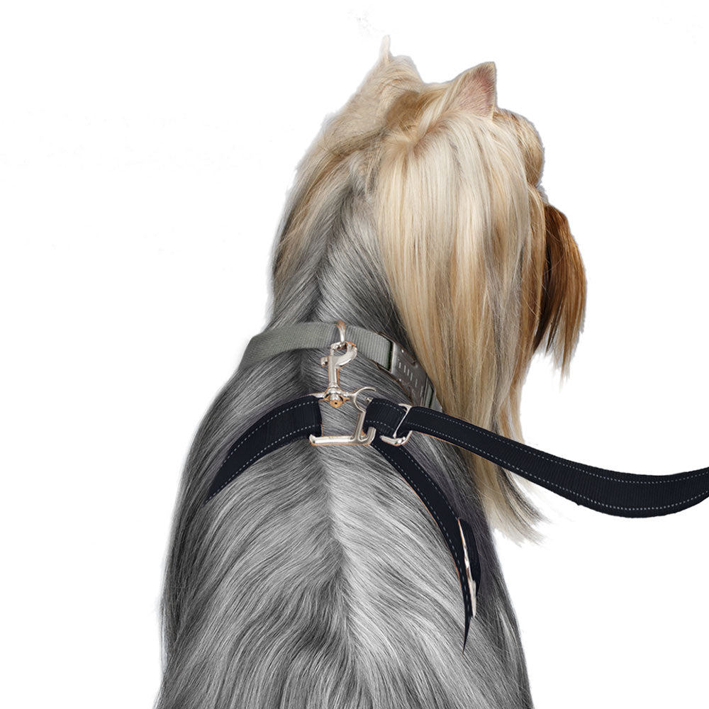 ThunderLeash Small