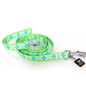 Contempo Argyle Leash