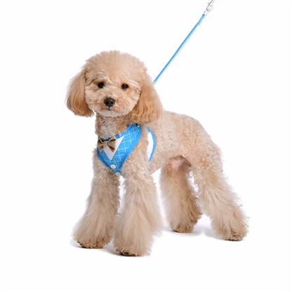 EasyGo Bowtie Blue Harness