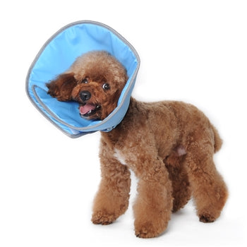 Get Better Soft Recovery Collar