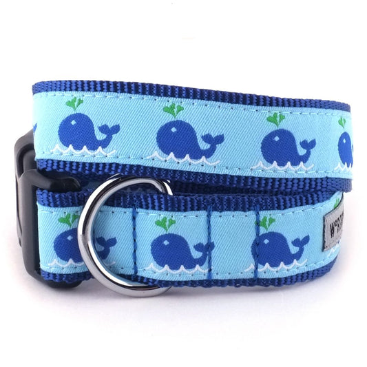 Squirt Dog Collar