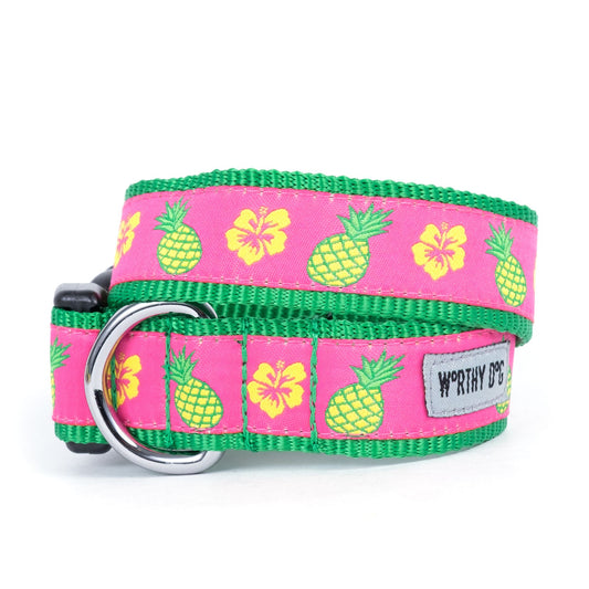 Pineapples Dog Collar