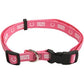 NFL Indianapolis Colts Dog Collar Blue & Pink