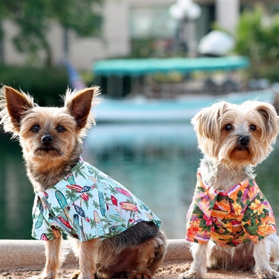 Hawaiian Camp Shirt - Surfboards & Palms