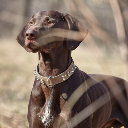 Leather + Nylon Spike Collar