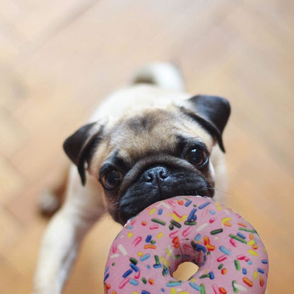 Strawberry Donut Dog Toy