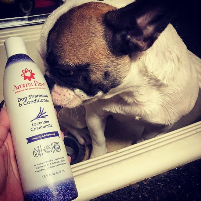 Lavender Chamomile Dog Shampoo 13.5oz - Anti-Itch and Calming Formula
